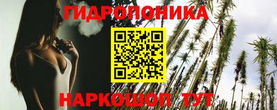 прущие крисы Бийск