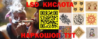 дмт Беслан