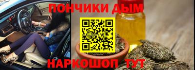 прущие крисы Бийск