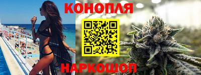 прущие крисы Бийск