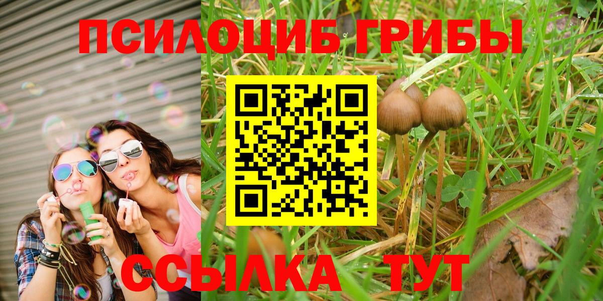 Каменск-Уральский  где можно купить наркотик  Галлюциногенные грибы Psilocybe  Вход с VPN  Псилоцибиновые грибы мицелий 